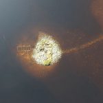 Insulă artificială mai veche decât Stonehenge: Ce secrete ascunde sub ape