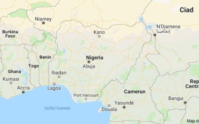 Trump: Liderul ISIS din Nigeria, eliminat. Anunțul așteptat