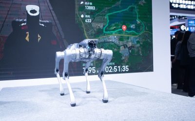 Robocâinele de pază: Un bărbat din SUA, spionat de China prin tehnologie!