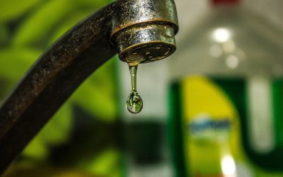 Apă potabilă, rație în Franța: Aproape 20 de orașe, afectate de caniculă