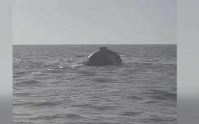 Remorcherul scufundat de la Midia, scos miercuri din mare