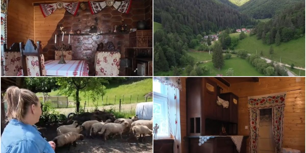 Ospitalitate rurală: platforma ce deschide porțile gospodăriilor românești