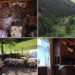 Ospitalitate rurală: platforma ce deschide porțile gospodăriilor românești