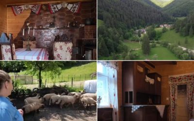 Ospitalitate rurală: platforma ce deschide porțile gospodăriilor românești