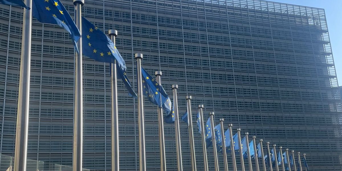 UE: Ușa rămâne deschisă furnizorilor IT străini
