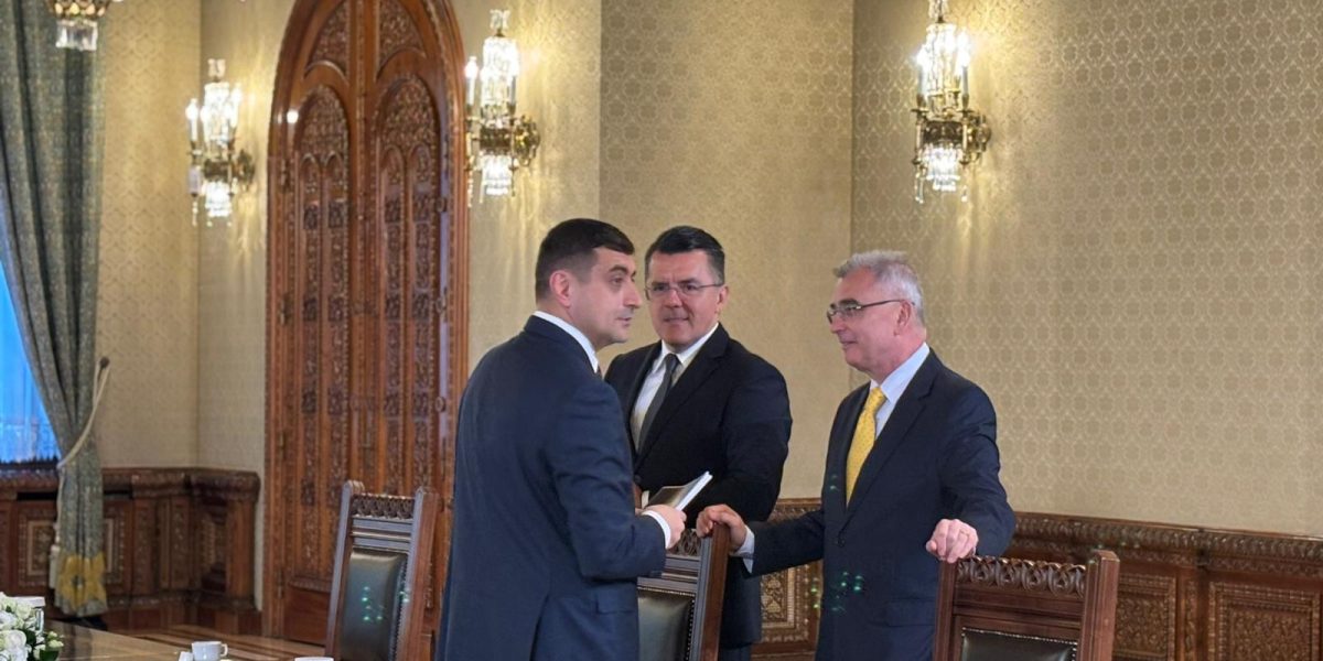 Peiu: AUR nu votează GUVERNUL Veștea, mizează pe Nicușor Dan