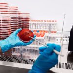 Încălzirea globală, noua amenințare: rezistența la antibiotice crește vertiginos