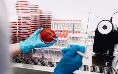 Încălzirea globală, noua amenințare: rezistența la antibiotice crește vertiginos
