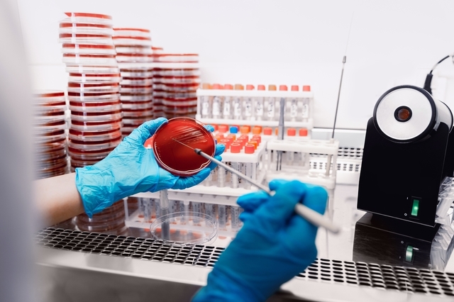 Încălzirea globală, noua amenințare: rezistența la antibiotice crește vertiginos