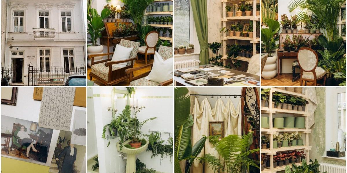 București: Vila istorică, Casa Plantelor, e virală cu 1.000 de ghivece