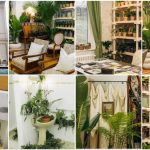 București: Vila istorică, Casa Plantelor, e virală cu 1.000 de ghivece