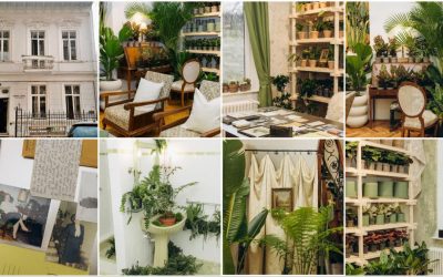 București: Vila istorică, Casa Plantelor, e virală cu 1.000 de ghivece