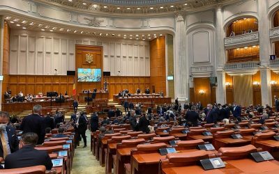 Stoiciu: Constituția, după model german: „Cine dărâmă guvernul, construiește altul”