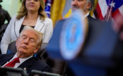 Trump, profit uriaș din crypto, investitori în pierdere
