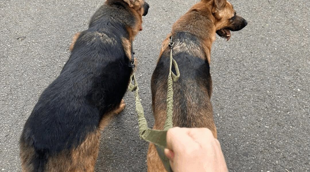 Cum îți petreci duminica: relaxare sau agitație