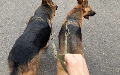 Cum îți petreci duminica: relaxare sau agitație