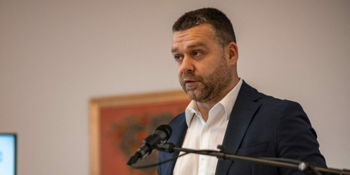 PNL: Psihoza „pădurii” și a „sistemului” a cuprins partidul