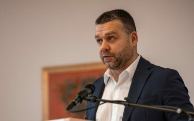 PNL: Psihoza „pădurii” și a „sistemului” a cuprins partidul