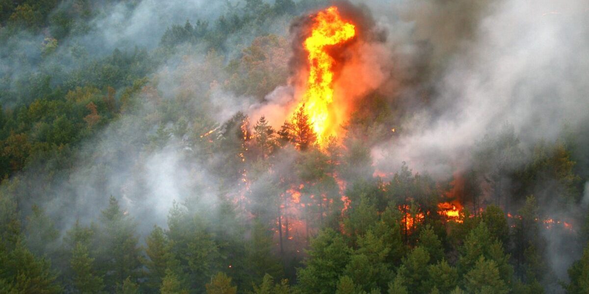 Fontainebleau arde! Două avioane luptă cu flăcările lângă Paris