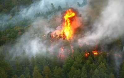 Fontainebleau arde! Două avioane luptă cu flăcările lângă Paris