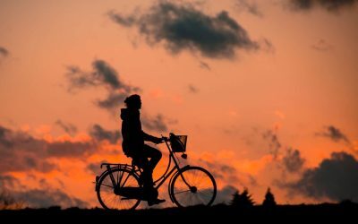 Bilete pe bicicletă pe magistrala Simeria-Arad