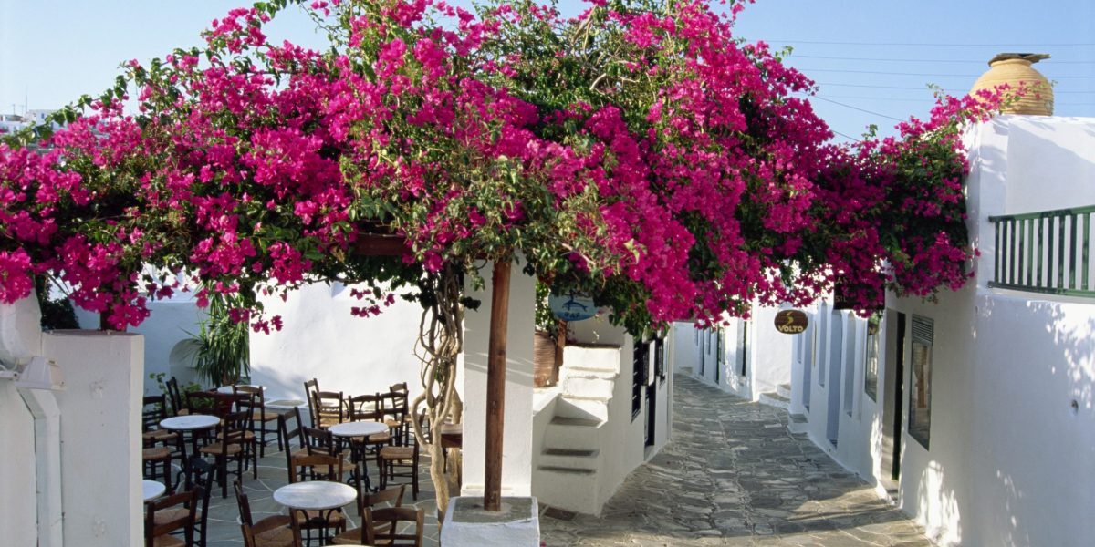 Grecia: Paradis cu mâncare de lux la 3 euro