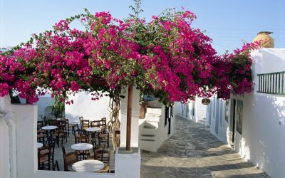 Grecia: Paradis cu mâncare de lux la 3 euro