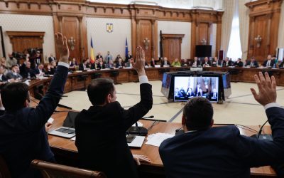 AUR, PSD și declarații de avere extinse: Parteneri, nu doar soți