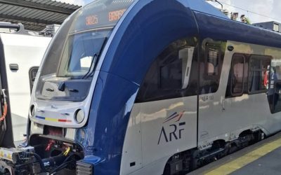 Tren PESA de la zero: „Erau blocate în buruieni”