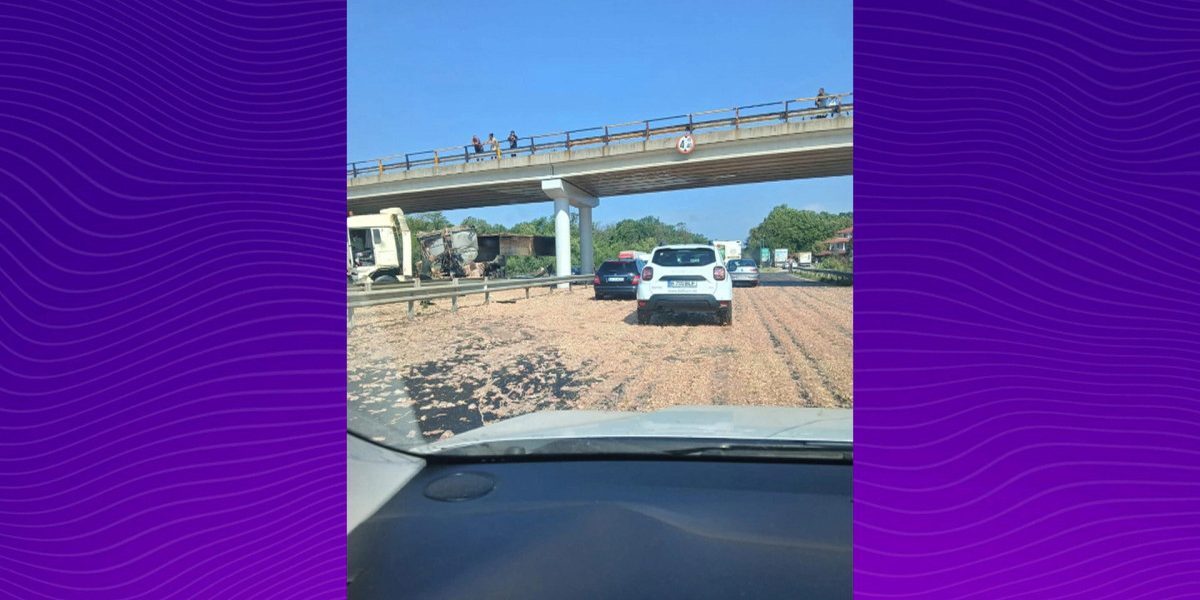 TIR cu pui, dezastru pe A1 București-Pitești: carne pe asfalt