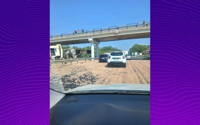 TIR cu pui, dezastru pe A1 București-Pitești: carne pe asfalt