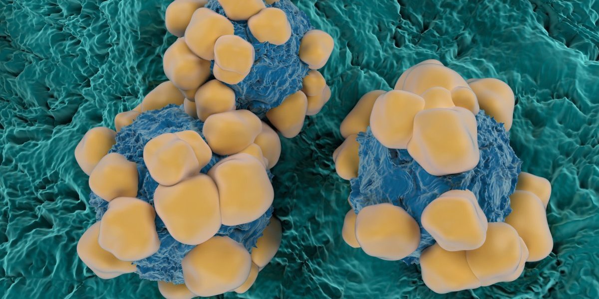 Viagra, secret pentru stoparea cancerului