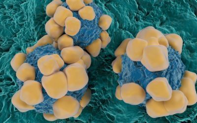 Viagra, secret pentru stoparea cancerului
