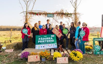 Companii: CSR care schimbă vieți, nu doar cifre