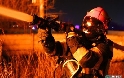 Top 10 meserii anti-AI: Niciun job de birou, dar ce ne scapă tehnologia