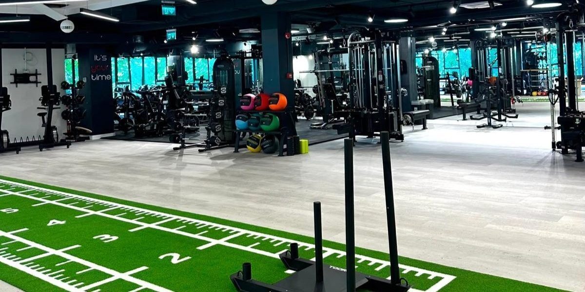 Wellness Solutions: Creștere accelerată în B2B pe fondul cererii mari