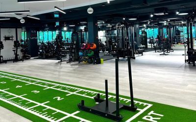 Wellness Solutions: Creștere accelerată în B2B pe fondul cererii mari