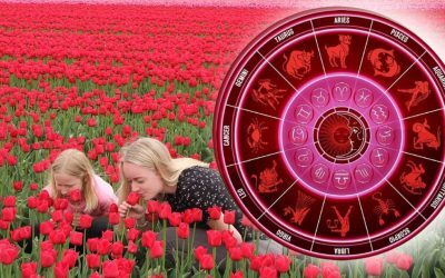 Horoscop 9 august: Sfatul zilei pentru curaj și întrebări