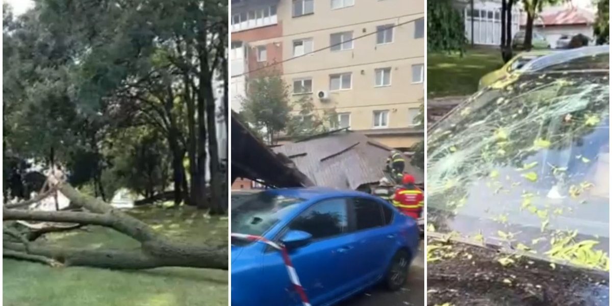 Vânt năprasnic: Copaci doborâți și acoperișuri peste mașini