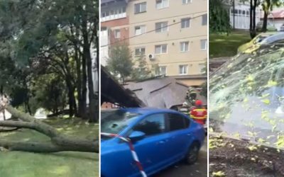 Vânt năprasnic: Copaci doborâți și acoperișuri peste mașini