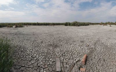 Seceta persistă: Ploile de vară, ineficiente fără IAEA