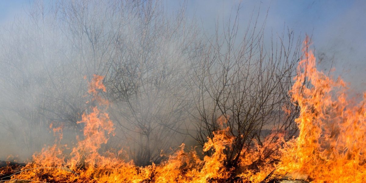 Caraș-Severin, sub asediu: 4 incendii uriașe, zeci de eroi la datorie