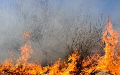 Caraș-Severin, sub asediu: 4 incendii uriașe, zeci de eroi la datorie