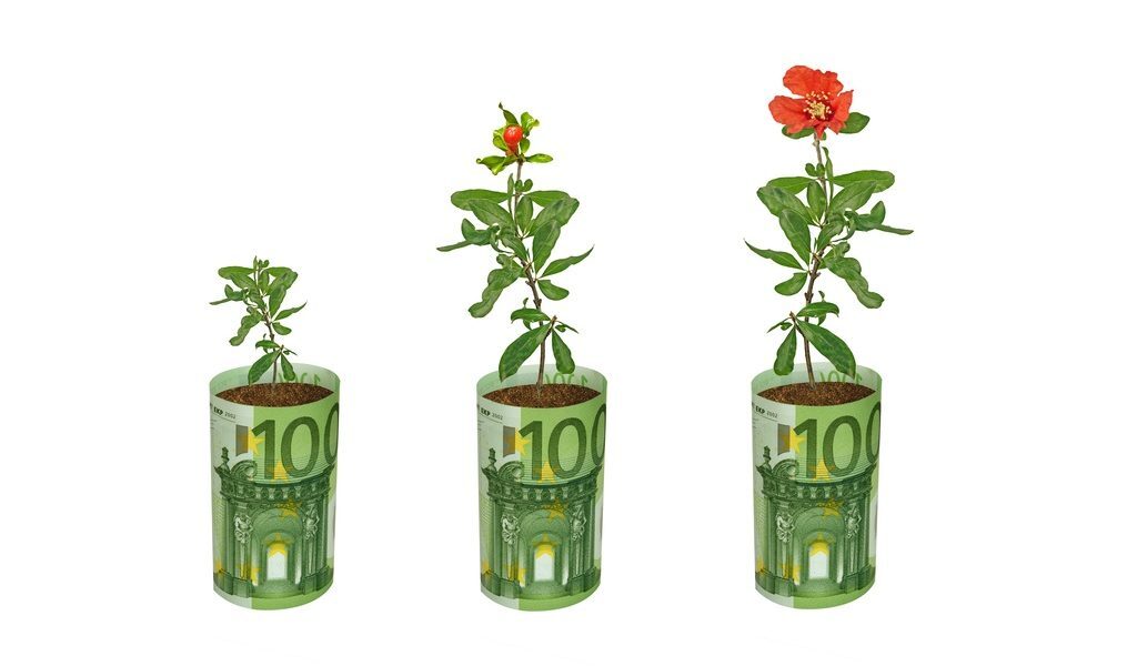 Fonduri UE 100.000€: Fermierii și grădinarii, bani pentru flori, plante aromatice