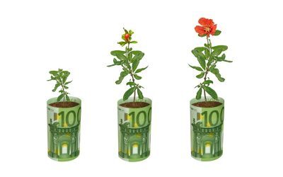 Fonduri UE 100.000€: Fermierii și grădinarii, bani pentru flori, plante aromatice