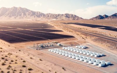 Musk bagă baterii Tesla în AI. Miza uriașă a proiectului