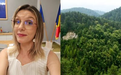 Buzoianu: România bate ținte PNRR la păduri. Anunț Ministerul Mediului