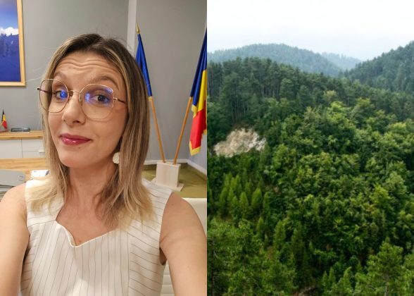Buzoianu: România bate ținte PNRR la păduri. Anunț Ministerul Mediului