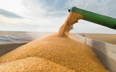 Ucraina-Constanța: Cereale pe Cale Ferată prin Moldova
