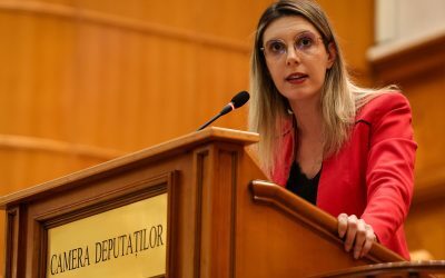 Dacă nu avem majoritate, mergem la vot